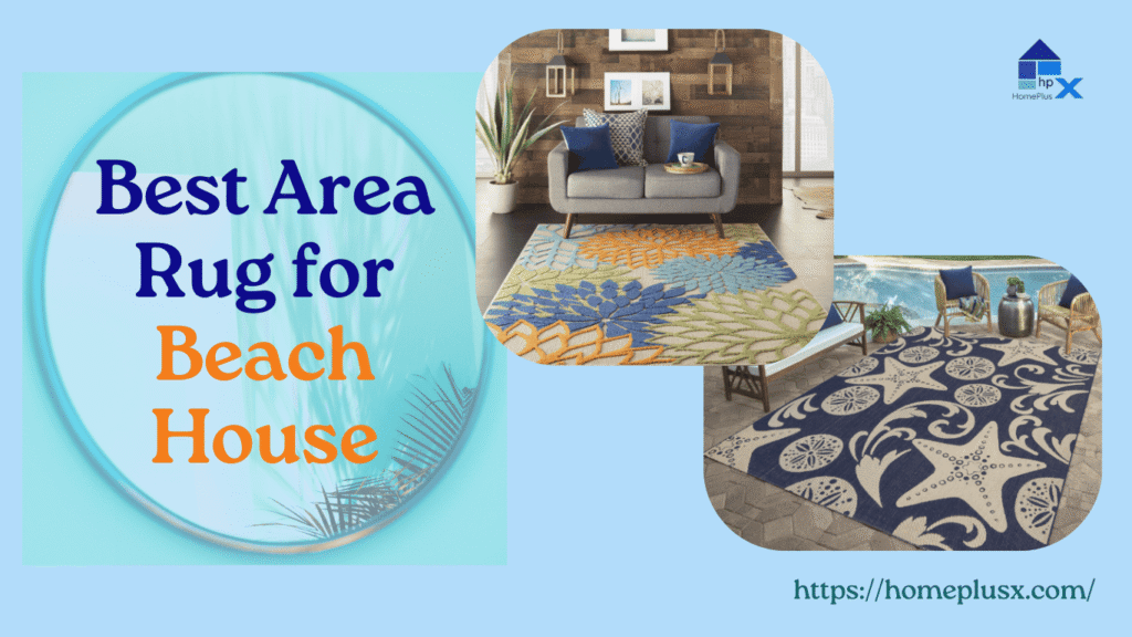 Best Area Rug for Beach House