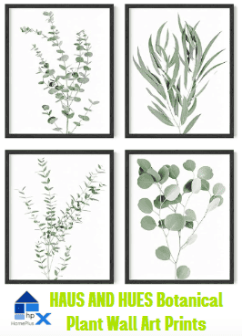 HAUS AND HUES Botanical Plant Wall Art Prints