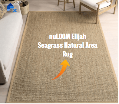 nuLOOM Elijah Seagrass Natural Area Rug